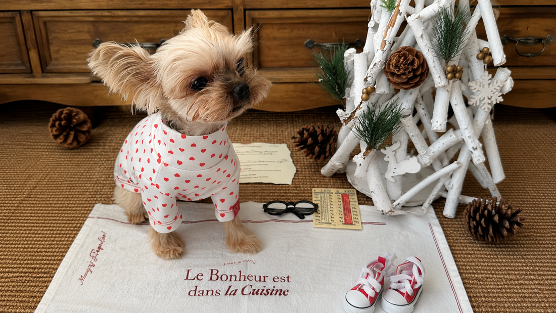 Thoughtfully Made Petwear for Everyday Moments